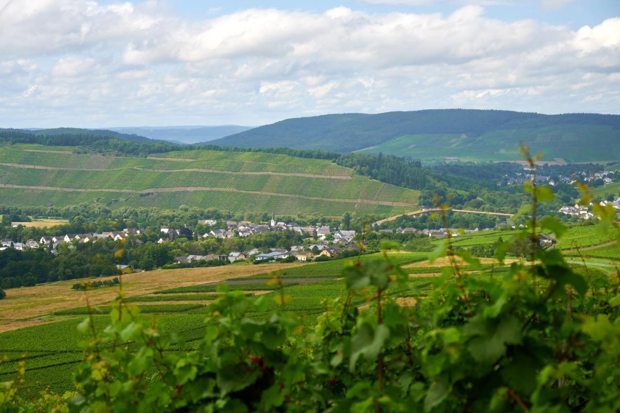 Weinromantikhotel Richtershof Мюльхайм Экстерьер фото
